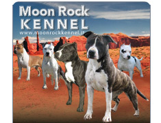 Allevamento MoonRock Kennel